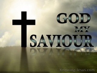 God, My Saviour (devotional)02-22 (brown)